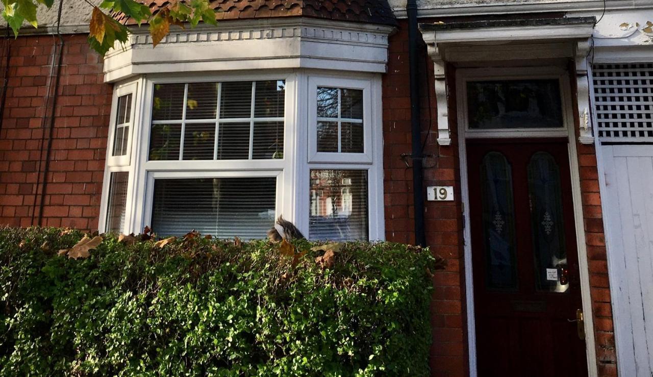 Lavender Apartment Leicester Zewnętrze zdjęcie